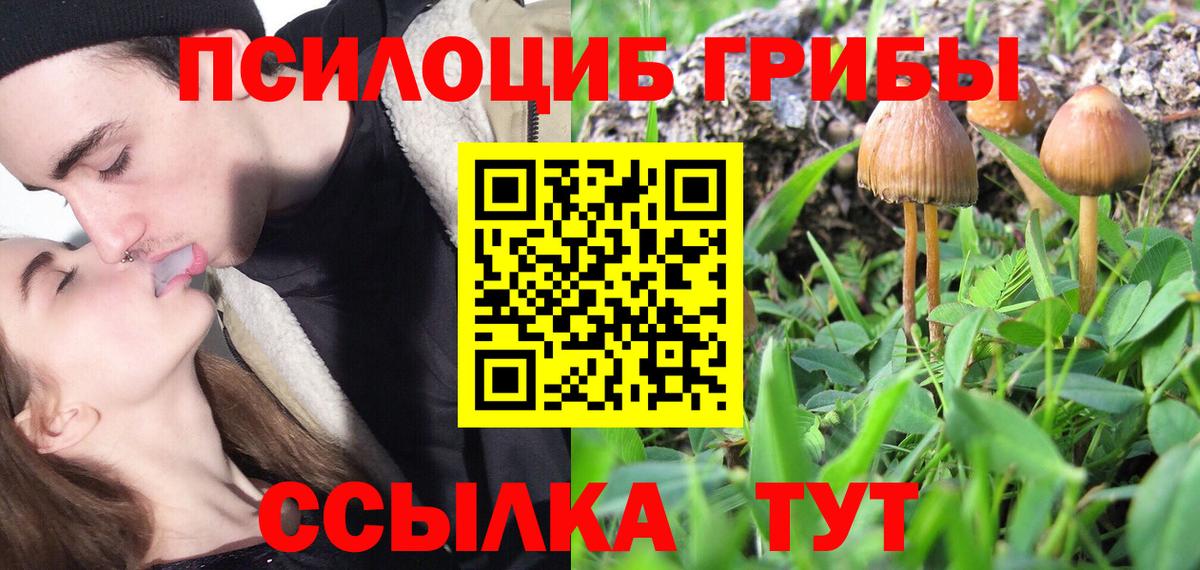 Псилоцибиновые грибы GOLDEN TEACHER Ростов Великий