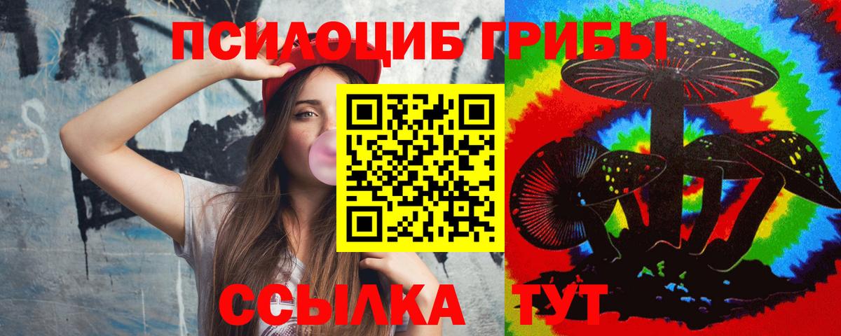 Ростов Великий  Псилоцибиновые грибы Cubensis  Вход с VPN 